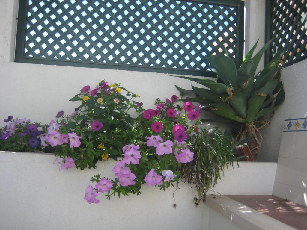 A Casinha Hotel Areia Branca Buitenkant foto